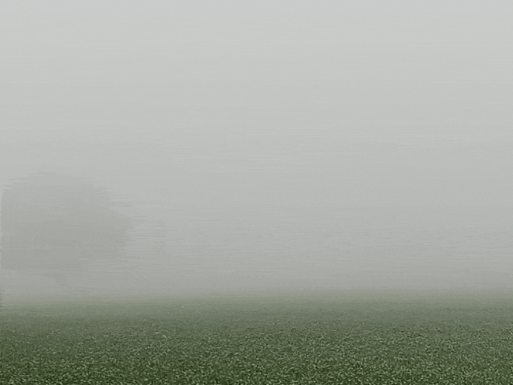 सिरोंज में सुबह 8.45 बजे भी घना कोहरा छाया रहाl यहां तापमान 7 डिग्री से नीचे दर्ज हुआl