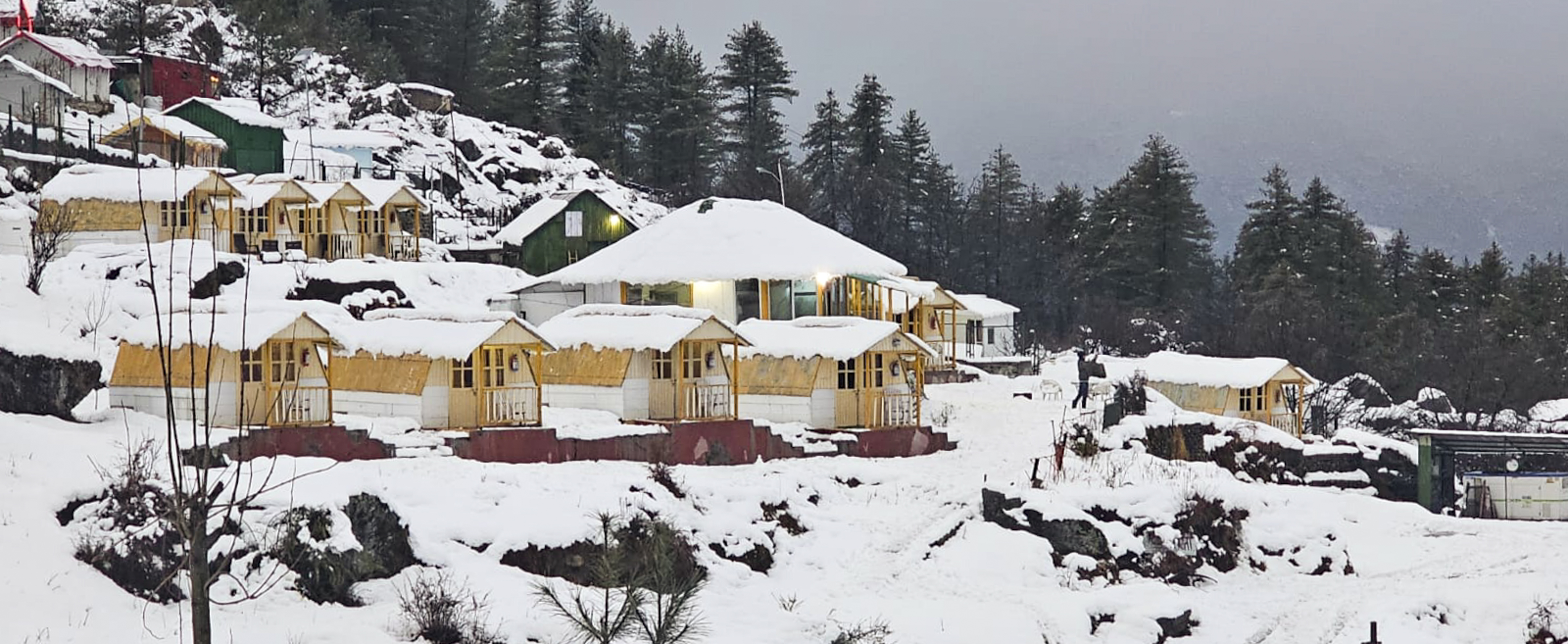 IMD Weather Update; MP Rajasthan Haryana| Uttarakhand Kashmir Snowfall | राजस्थान में कोहरे से विजिबिलिटी 10, MP में 20 मीटर: यूपी-हरियाणा के 66 जिलों में शीतलहर; जम्मू-कश्मीर ...