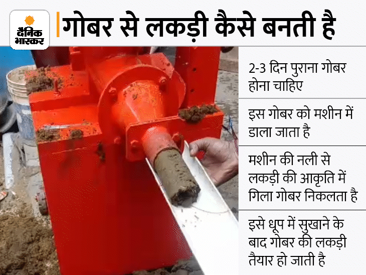 Now The Pyres Will Be Lit With Cow Wood In Kashi s Mahasmshan Now The Pyres Will Be Lit With Cow Wood In Kashi s Mahasmshan