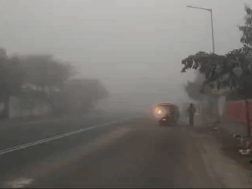 जयपुर में मंगलवार सुबह करीब 7 बजे घना कोहरा रहा। विजिबिलिटी 10 मीटर से भी कम रही।