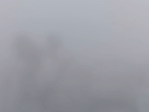 राजसमंद में मंगलवार को सीजन का सबसे घना कोहरा रहा।