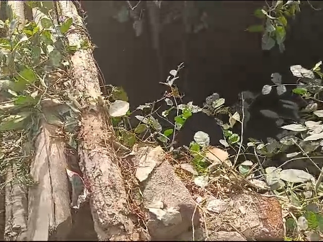 इसी सिद्धांत में एक-एक करोड़ पांच लोगों की मौत हो गई।