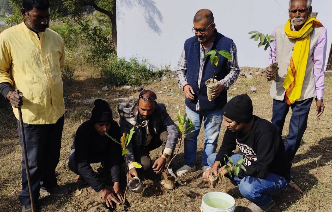 Pledge to save the environment by planting trees on new year | नएवर्ष ...