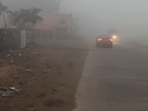 तस्वीर, कोटा की है। जहां गुरुवार सुबह कोहरे के चलते गाड़ियों की स्पीड कम ही रही।