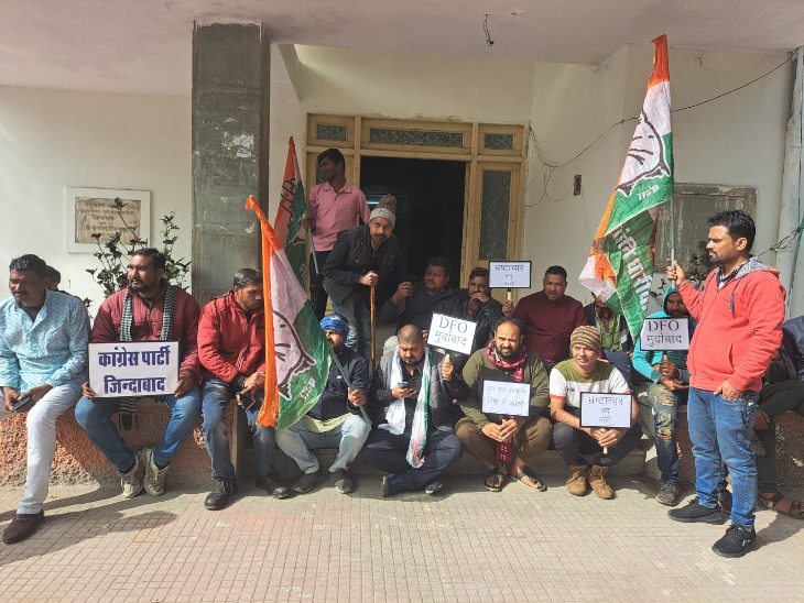 कांग्रेस कार्यकर्ताओं ने वन विभाग में जारी किए गए टेंडर में भ्रष्टाचार का आरोप लगाया है। - Dainik Bhaskar