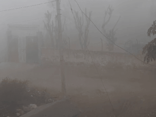 अलवर शहर में शनिवार को घना कोहरा छाया रहा। यहां विजिबिलिटी 40 मीटर से कम रही।