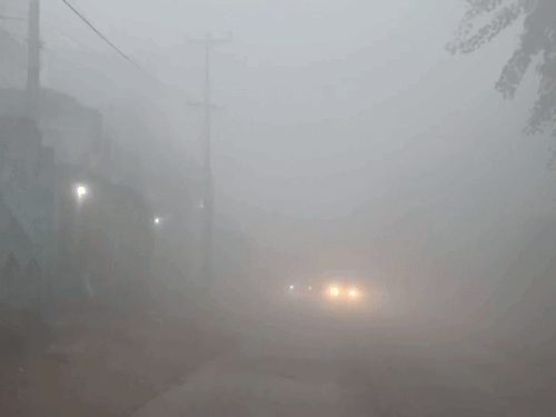 भरतपुर में इस सीजन का सबसे घना कोहरा शनिवार को रहा।