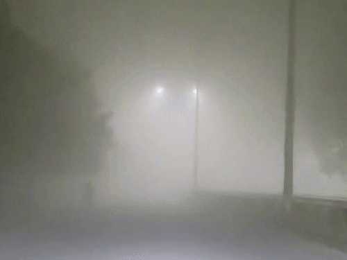 अमृतसर में सुबह के समय छाई धुंध। - Dainik Bhaskar