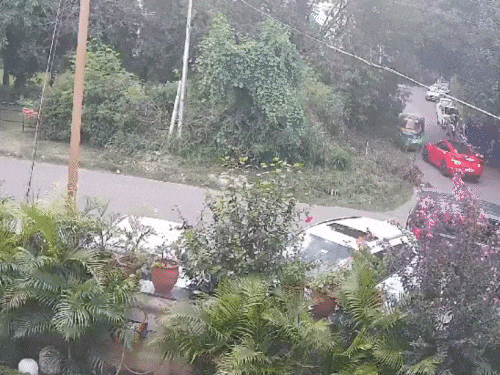 The accused had fled after the incident in the auto.
