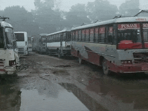 जालंधर बस स्टैंड पर लगी खाली बसों की लाइन।