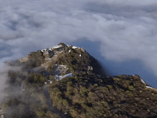 जयपुर में मौसम का रंग। सोमवार सुबह जयपुर में काफी देर तक धुंध ने सूरज का रास्ता रोका।