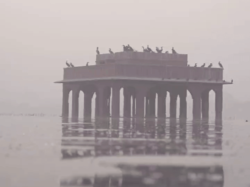 घने कोहरे के कारण जयपुर में सुबह काफी ठंड रही। जलमहल के आसपास टूरिस्ट भी कम नजर आए।