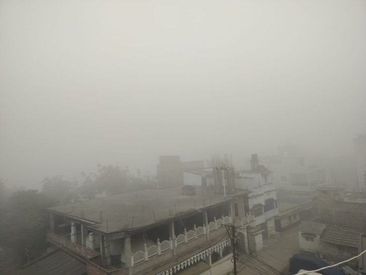 कटिहार में मंगलवार सुबह घना कोहरा छाया है।