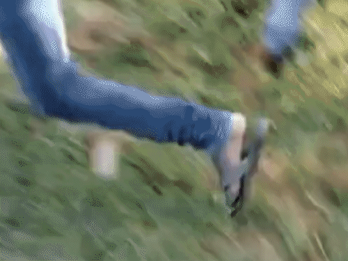 फॉरेस्ट विभाग की टीम तेंदुए का रेस्क्यू करने पहुंची, जाल और पिंजरा लगाया गया। - Dainik Bhaskar