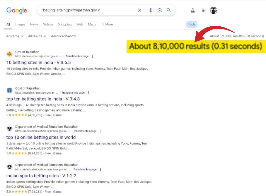 भास्कर ने एक्सपट्‌र्स की मदद से पड़ताल की तो सामने आया, अकेले राजस्थान की सरकारी वेबसाइट्स पर हैकर्स के 8 लाख से ज्यादा पेज हैं।