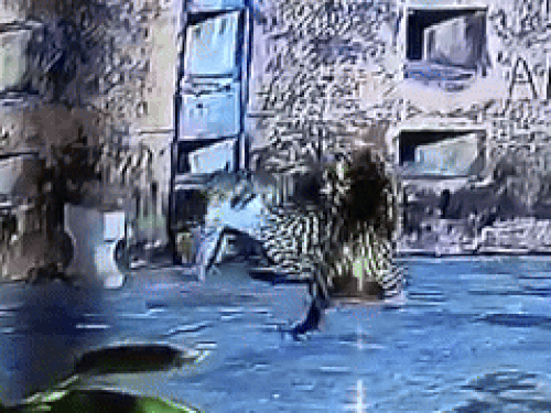 एक माह पहले नाहरगढ़ के टूरिस्ट स्पॉट पड़ाव पर एक साथ दो लेपर्ड कैमरे में कैद हुए थे।