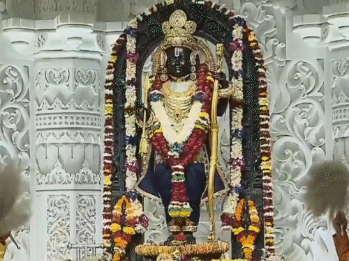 ladscape19 1 1736569139