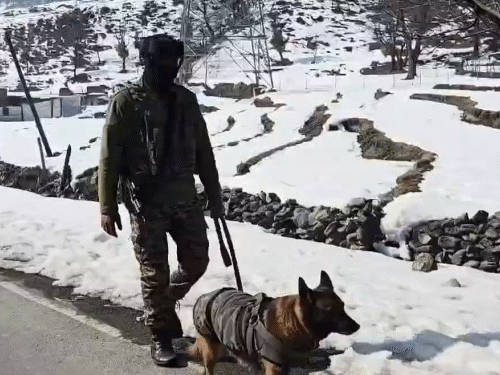 पीएम मोदी के दौरे से पहले टनल के पास कड़ी सुरक्षा रखी गई। डॉग स्कॉड भी तैनात है।