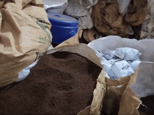 Lucknow Nakli Chai Patti Factory | UP STF FSDA Investigation | Fake Tea Health Issues | लखनऊ में पत्थर और केमिकल से बन रही चाय पत्ती: STF ने फैक्ट्री पर मारा छापा,