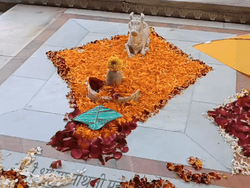 मकर संक्रांति पर्व को लेकर जालोर के भैरू नाथ अखाड़े में स्थित जालंधर नाथ जी महाराज के मंदिर और भगवान शिव के शिवलिंग को रंग-बिरंगी पतंगों व फूलों से सजाया गया।