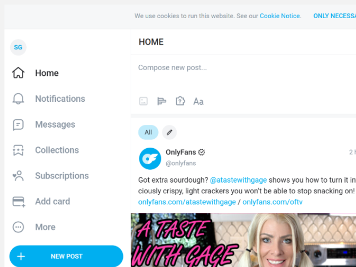 Onlyfans Payment Model Story Adult Content Creator Zara Dar Income Earn