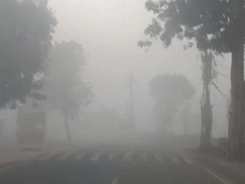 पाली के नया गांव रोड गुरुवार सुबह कुछ इस तरह कोहरे की चादर ओढ़े रहा।