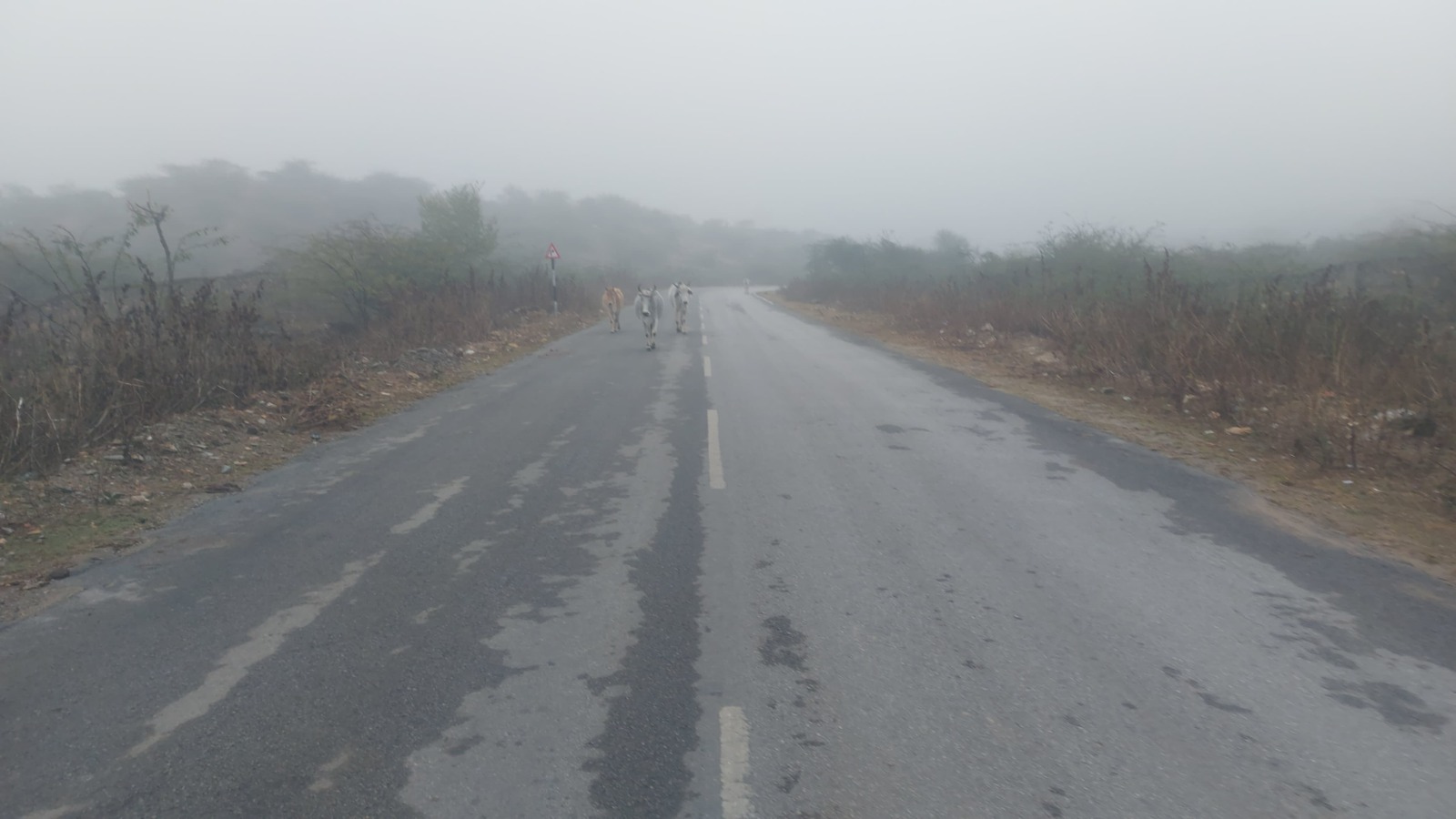 टोंक के डूनी-आवां रोड पर गुरुवार सुबह कोहरा छाया रहा। ज्यादातर ग्रामीण हिस्सों में मौसम ऐसा ही है।