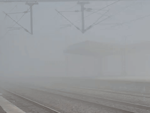 नागौर के मारवाड़ मूंडवा में सोमवार को सीजन का सबसे घना कोहरा रहा। सुबह विजिबिलिटी करीब 30 मीटर रही।