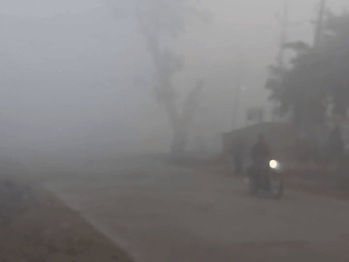 भरतपुर में 2 दिन बाद सोमवार सुबह फिर से घना कोहरा रहा। विजिबिलिटी 50 मीटर तक रही। भरतपुर से मथुरा जाने वाले सड़क पर घने कोहरे के कारण लोग वाहनों की हेडलाइट जलाकर चलते हुए नजर आए।