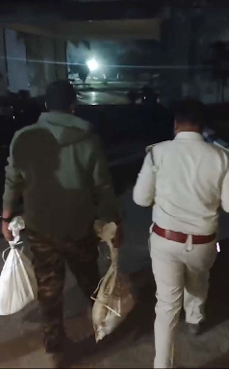 स्कूल से बोरियों में भरकर दोनों अजगर को सुरक्षित दूर खाली क्षेत्र में छोड़ा गया।