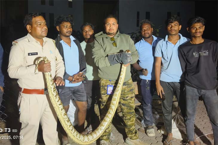 स्कूल में 9 फीट व साढ़े 6 फीट लंबे 2 अजगर का रेस्क्यू किया गया