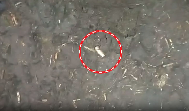 ਹੇਮੀਜਾ ਪਿੰਡ ਵਿਚ ਗੋਲੀਬਾਰੀ ਤੋਂ ਬਾਅਦ ਖਸ਼ਾ ਉਸ ਮੌਕੇ ਤੋਂ ਮਿਲਿਆ ਸੀ.