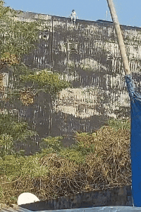 इसी बाउंड्री से कूद महिला