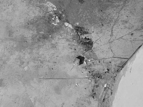 हत्या के बाद घर में फर्श पर बिखरा खून।