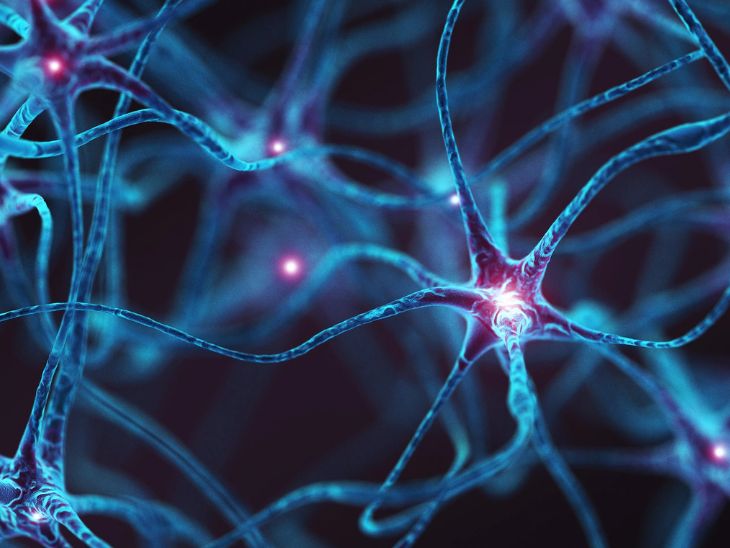 ਪੁਣੇ ਵਿੱਚ ਪਹਿਲੇ ਜੀਬੀਐਸ ਕੇਸ 9 ਜਨਵਰੀ ਨੂੰ ਪ੍ਰਗਟ ਕੀਤਾ ਗਿਆ ਸੀ. - ਡੈਨਿਕ ਭਾਸਕਰ