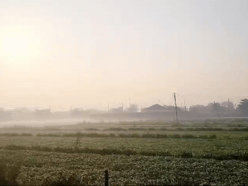 अमृतसर में सुबह के समय छाई हल्की धुंध। - Dainik Bhaskar