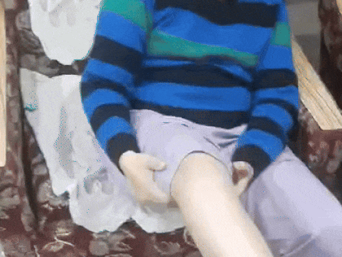 मोहाली के फेज-दो में कुछ दिन पहले डॉग बाइट का केस सामने  आया था। - Dainik Bhaskar