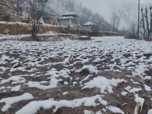 ਜੰਮੂ ਕਸ਼ਮੀਰ ਡੋਡਾ ਵਿੱਚ ਐਤਵਾਰ ਨੂੰ ਦੁਬਾਰਾ ਬਰਫ ਦੀ ਸ਼ੁਰੂਆਤ ਹੋਈ.