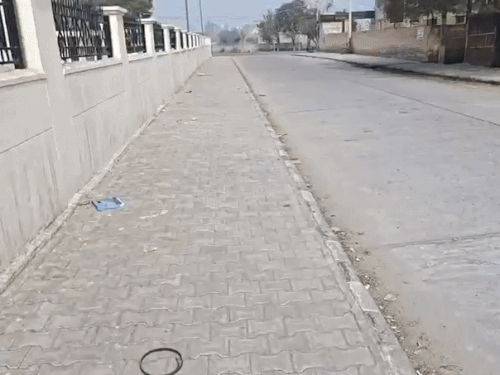 फाजिल्का कोर्ट परिसर, जहां बदमाश  वकीलों के चैंबरों में चोरी करने पहुंचे थे। - Dainik Bhaskar