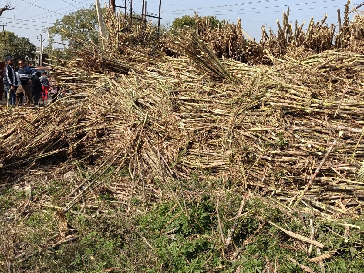 17a656fd 0da8 42b4 8669 714f54d3f385 1739191708838