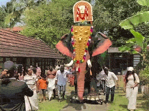 केरल में धार्मिक कार्यों में हाथी की मौजूदगी जरूरी होती है। बीते 5 साल में धार्मिक कार्यों के लिए लाए गए हाथियों के हमले में 526 लोग मारे जा चुके हैं।
