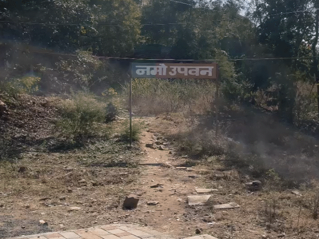 लालघाटी चौराहे के पास बनेगा नमोवन।