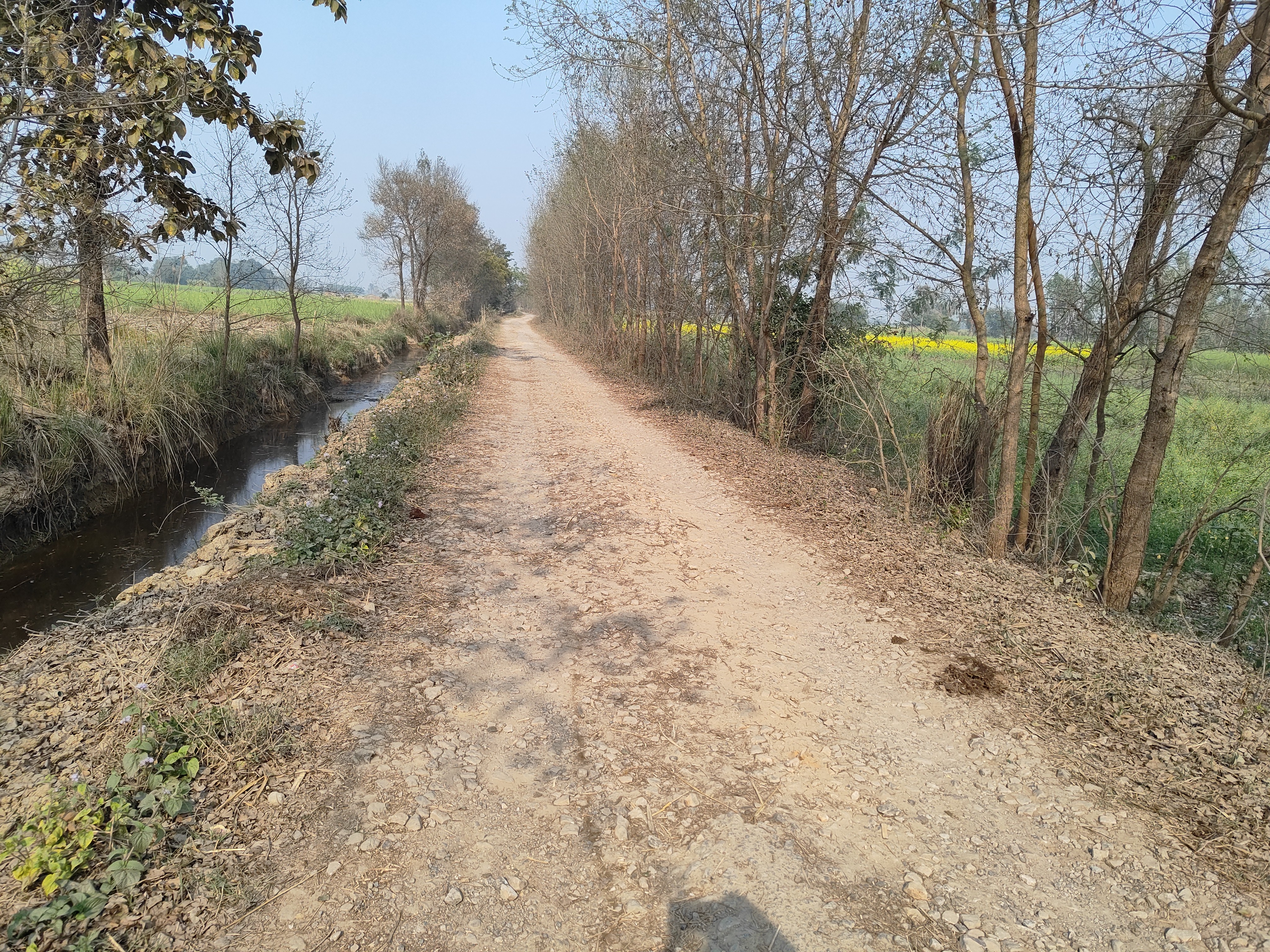 The road from National Highway to Gaura Chauraha in Uttaraula is ...