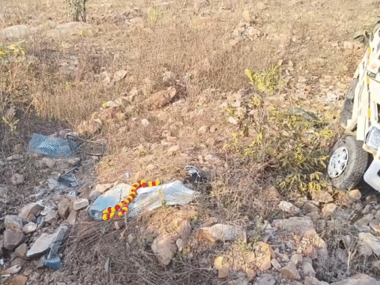 ਬੋਲੇਰੋ ਦੇ ਬੱਚੇ ਖਾਈ ਹੋਣ ਕਾਰਨ ਭੱਜ ਗਏ.