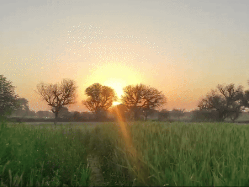 सरगुजा संभाग के जिलों में भी दिन का तापमान चढ़ने लगा है।