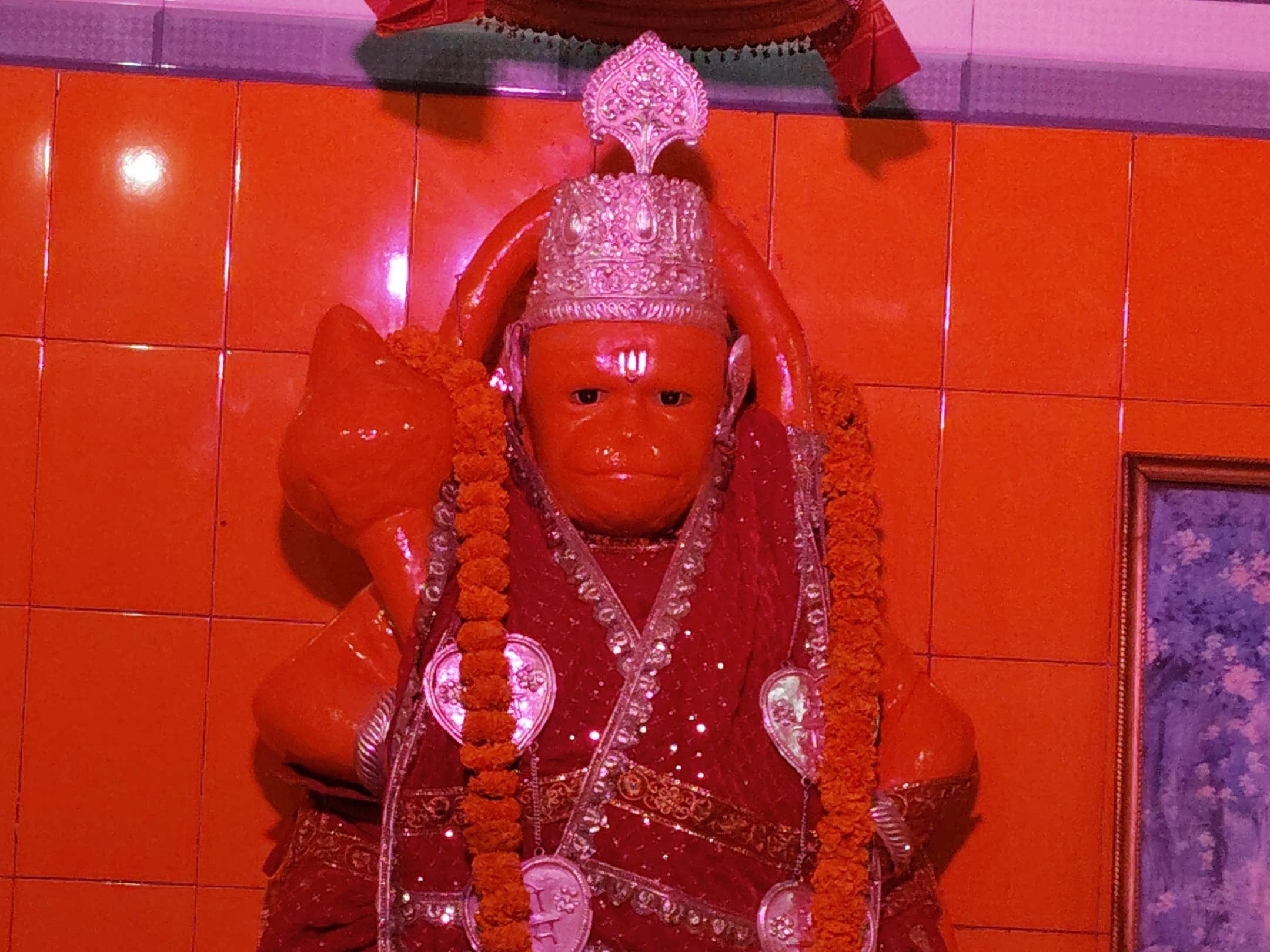 Foundation day of Bal Roop Hanuman Mandir in Renukote | रेनूकोट में बाल ...