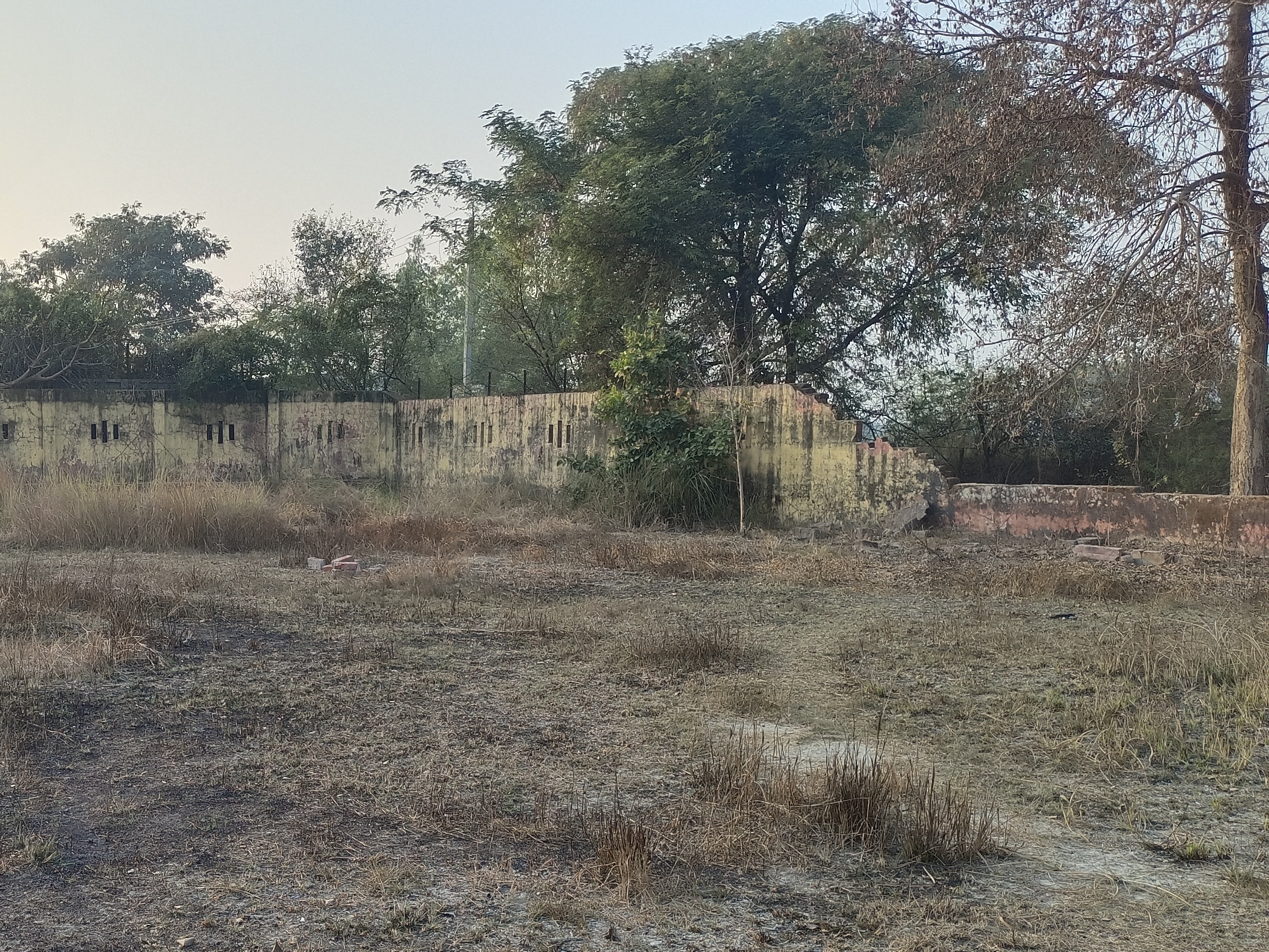 Ranipur's sports children protest against the stadium | रानीपुर के ...