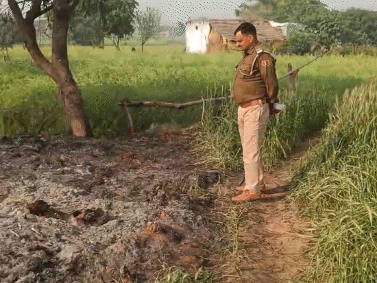 पीहर पक्ष के लोग पुलिस के साथ गांव में पहुंचे। भरतपुर से एफएसएल टीम को बुलवाकर घटना के सबूत जुटाए।