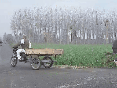 पंजाब के अमृतसर में सुबह के समय खिली हल्की धूप। - Dainik Bhaskar