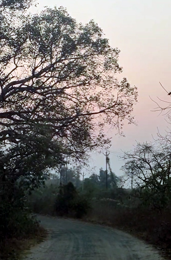 Vayan में सुबह सुबह सुबह सुबह मौसम।